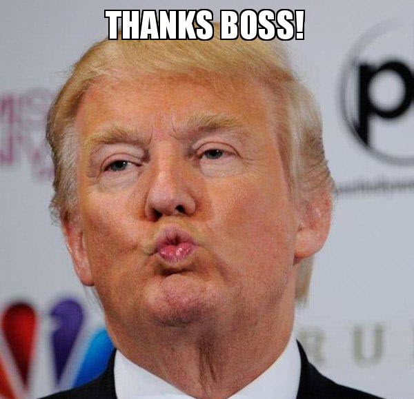 Tải ngay 50+ ảnh cảm ơn meme cute, hài hước nhất