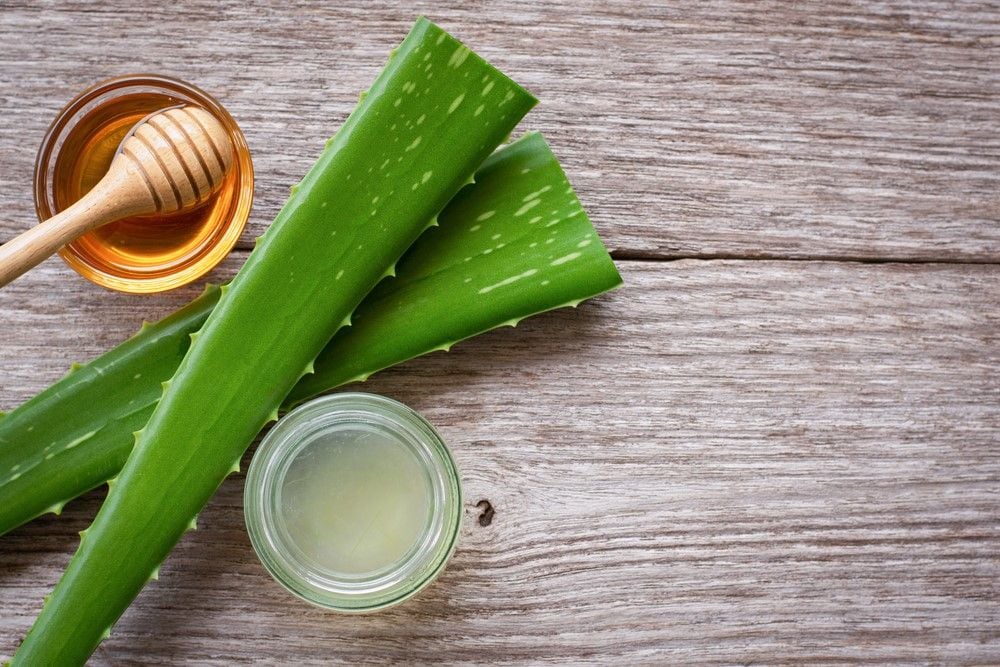 10 cách làm mặt nạ nha đam dưỡng da lành tính, hiệu quả