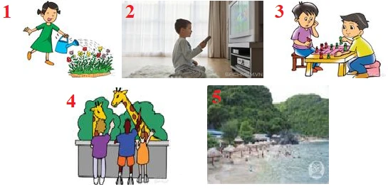 Tổng hợp bài tập Ngữ pháp - Ôn hè Tiếng Anh lớp 4</>