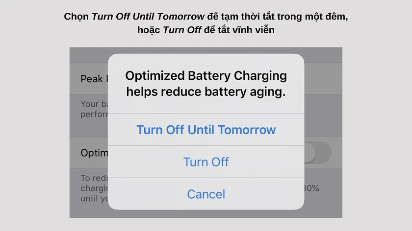 Tại sao pin iPhone chỉ sạc đến 80%: Nguyên nhân và cách khắc phục