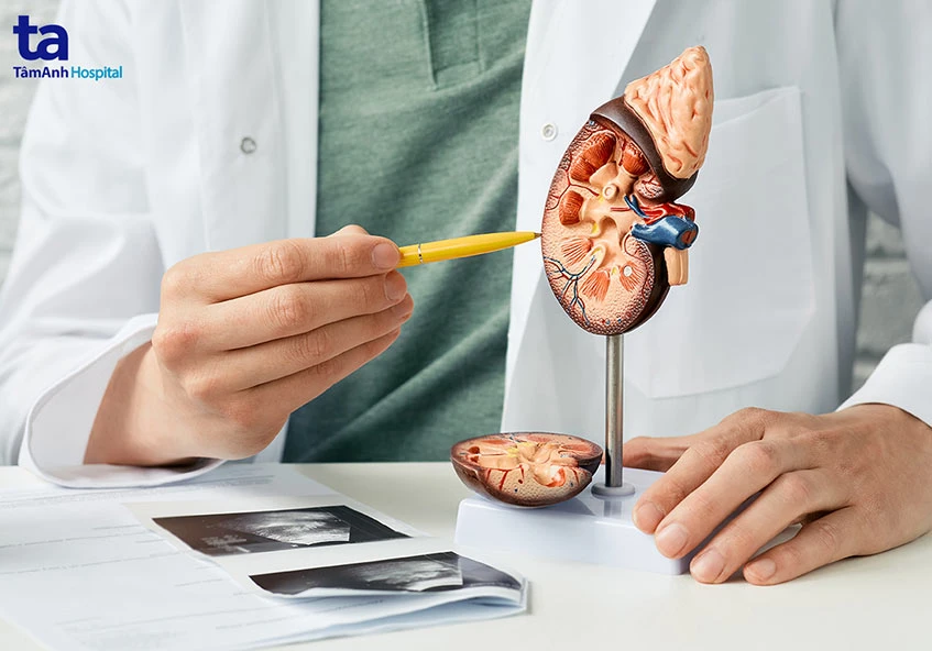 Cách chữa thận yếu ở nam giới hiệu quả và an toàn