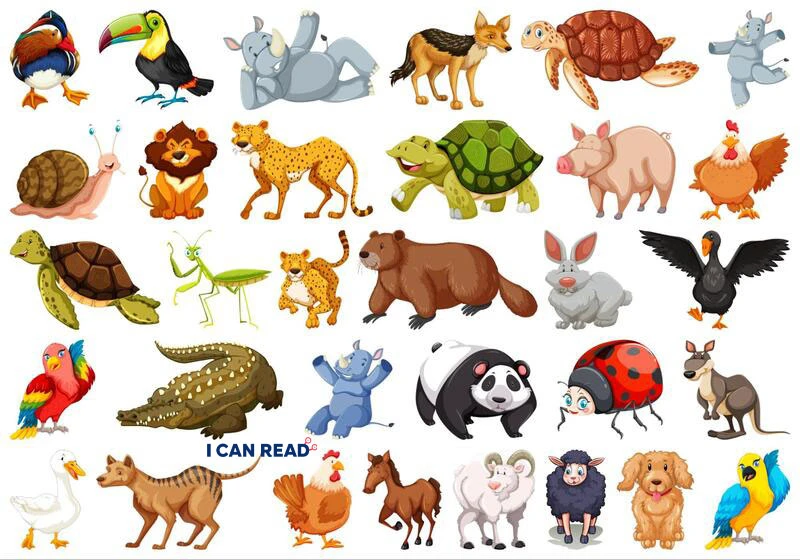 Essential English Vocabulary for Pets