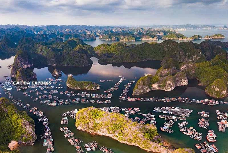 Khám Phá Tour Cát Bà 2 Ngày 1 Đêm Hấp Dẫn