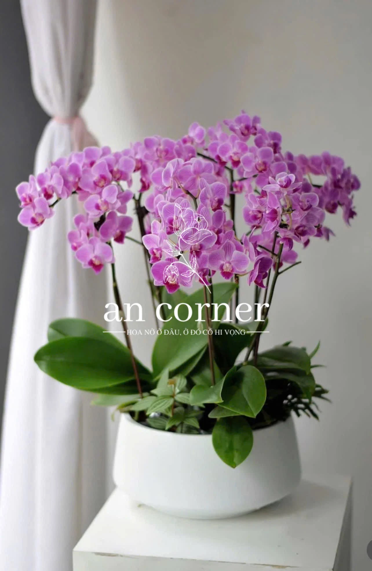 Các con số may mắn tài lộc hôm nay mang lại cơ hội mới