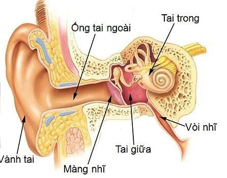 Cách chữa viêm tai giữa hiệu quả cho trẻ em