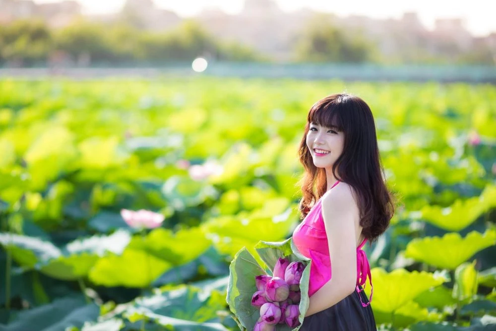 Khám Phá Nghệ Thuật Ảnh Chụp Hoa Sen Mùa Hè