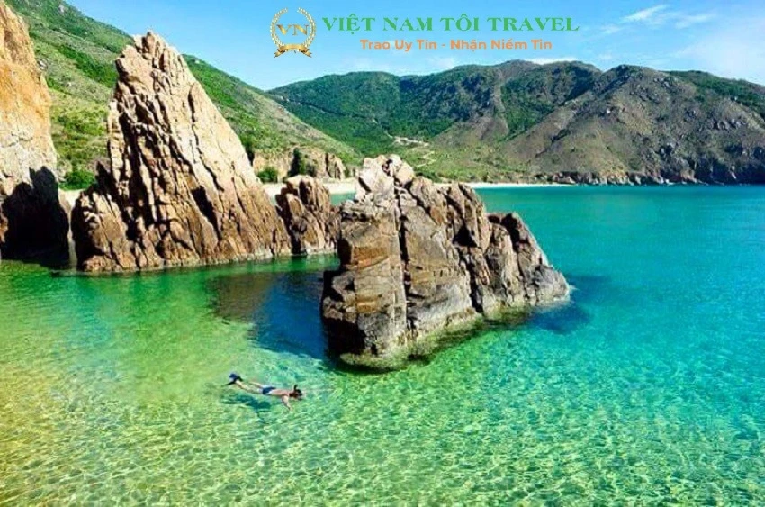 Khám Phá Tour Quy Nhơn với San Hô và Cây Cầu Tình Yêu