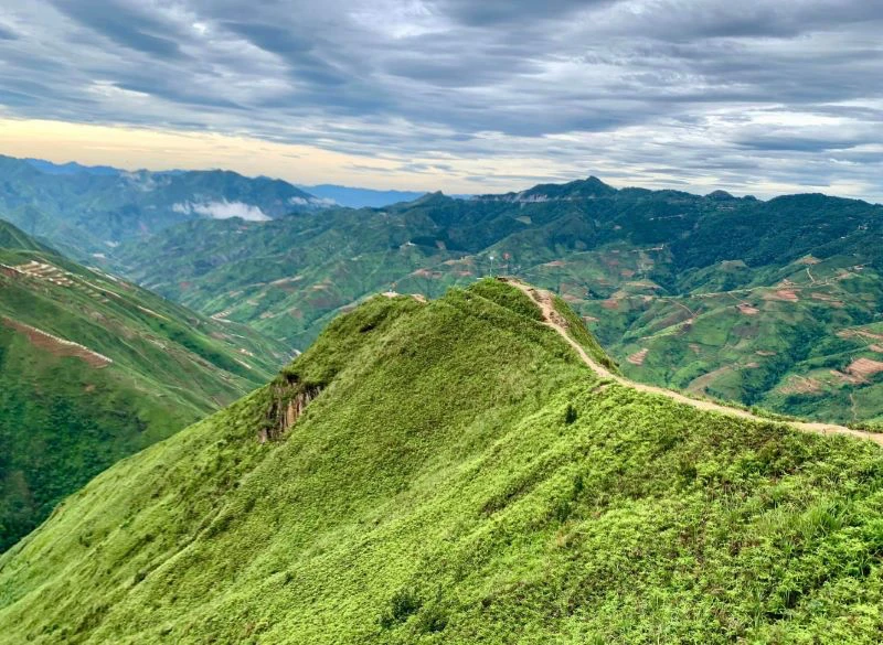 Khám Phá Tour Tà Xùa Thiên Nhiên Hùng Vĩ