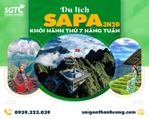 Khám Phá Tour Sapa Từ TPHCM: Thiên Nhiên Hùng Vĩ