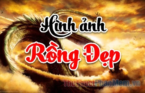 Khám Phá Những Hình Ảnh Con Rồng Đẹp Nhất Thế Giới