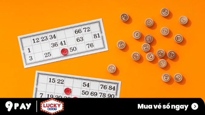 Hướng Dẫn Cách Dò Vé Số Vietlott Mega 6/45