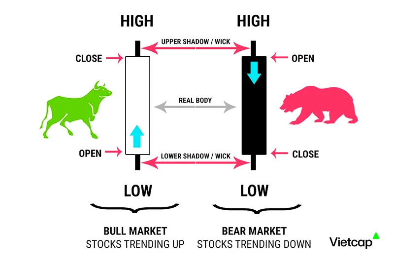 Cách Đọc Biểu Đồ Chứng Khoán Để Phân Tích Kỹ Thuật
