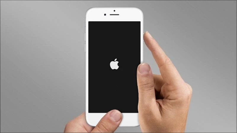 Cách khắc phục lỗi camera iPhone bị đen đơn giản không thể bỏ qua - Thegioididong.com