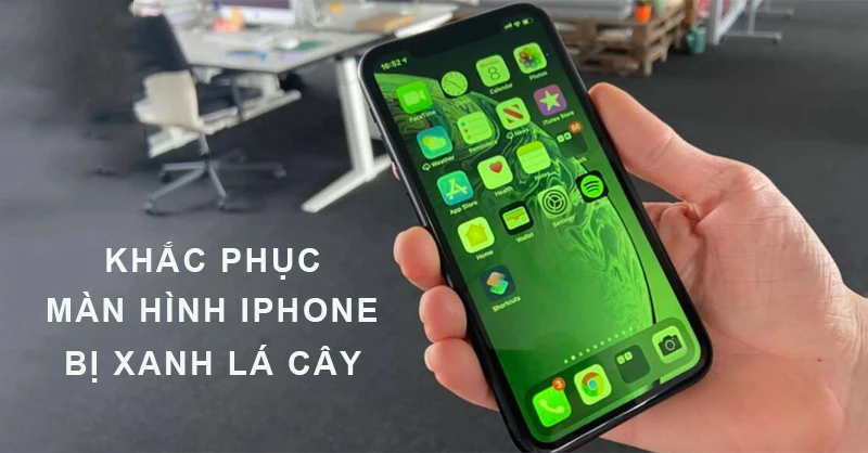 Nguyên nhân màn hình điện thoại bị xanh lá cây iPhone