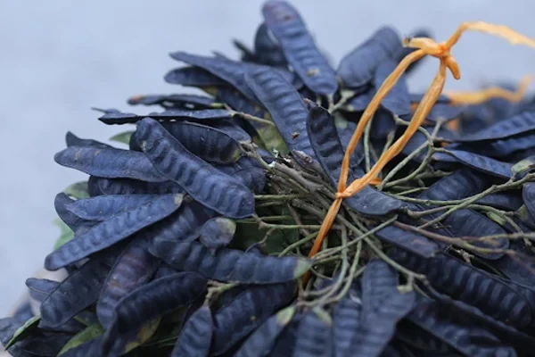 Bật mí 9 cách đốt phông lông xả xui cho shop online