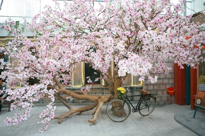 Hình nền ghép ảnh gia đình cực đẹp