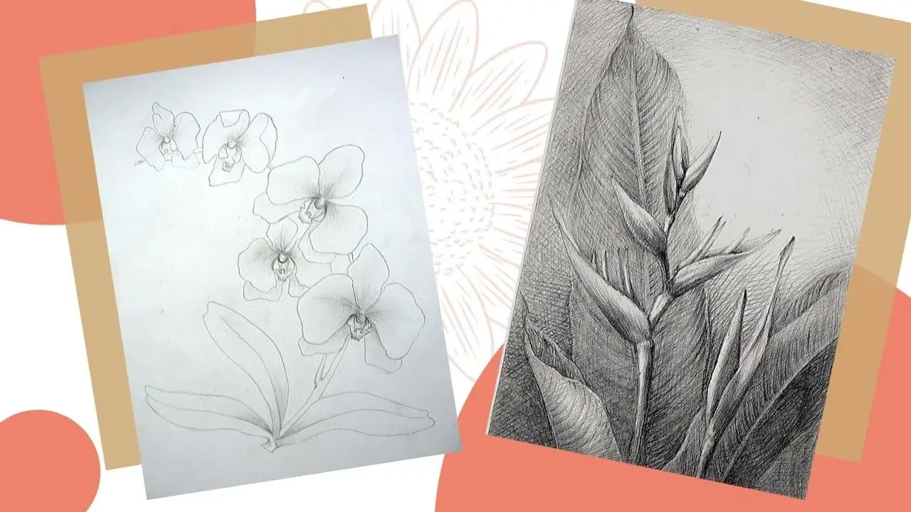 Cách điệu là gì và vai trò của nó trong nghệ thuật