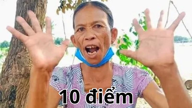 Meme 10 điểm và sự sáng tạo không giới hạn