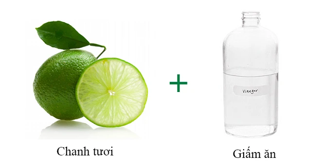 Làm sao để diệt mối tận gốc? Mách bạn 5 cách hiệu quả