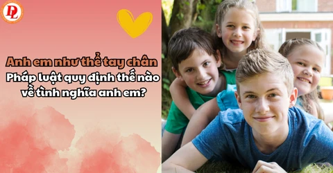 Anh Em Như Thể Tay Chân: Ý Nghĩa và Quyền Lợi