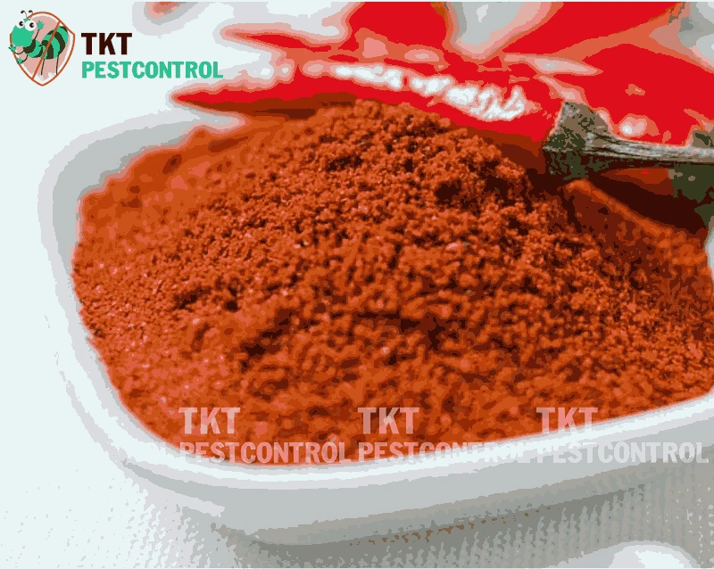 Cách đuổi chuột trên trần nhà hiệu quả và an toàn