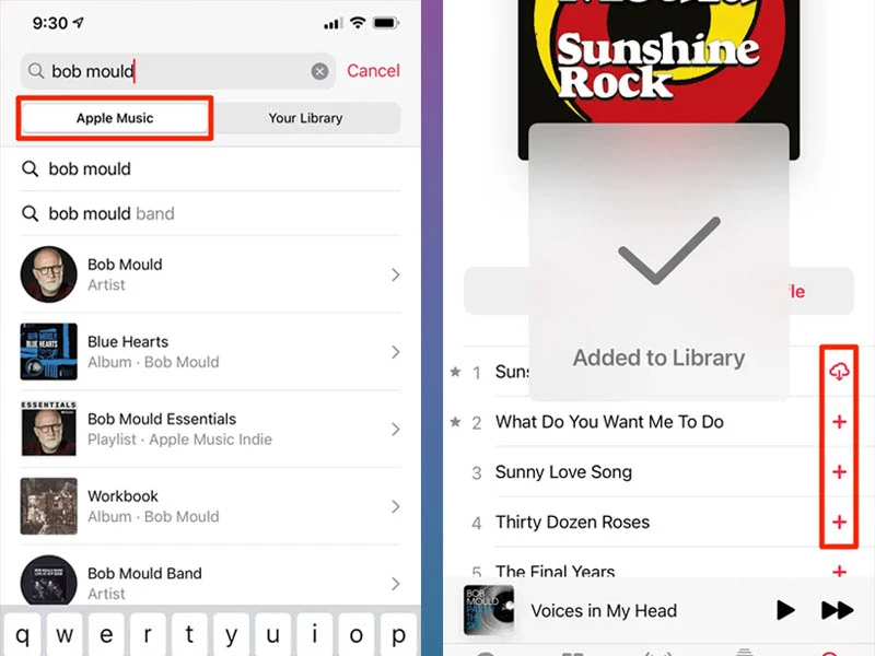 Tải nhạc về iPhone miễn phí với Apple Music dễ dàng
