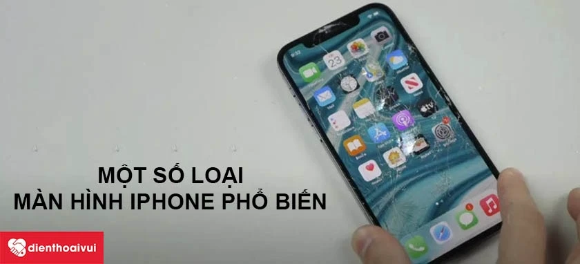 Thay màn hình iPhone 13 Mini