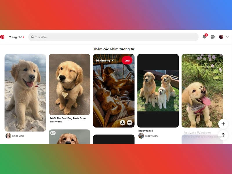 3 cách tìm kiếm ảnh gốc trên mạng xã hội để tải về vô cùng dễ dàng