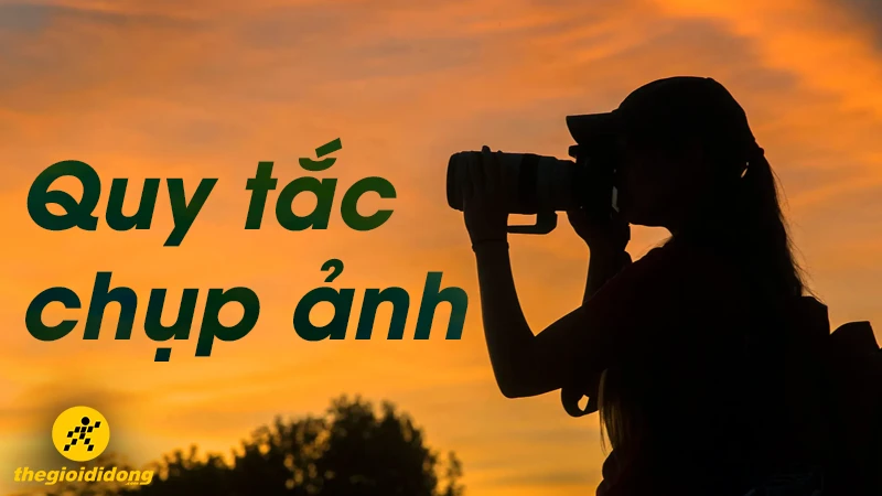 Cách chụp ảnh đẹp để thu hút sự chú ý từ người xem
