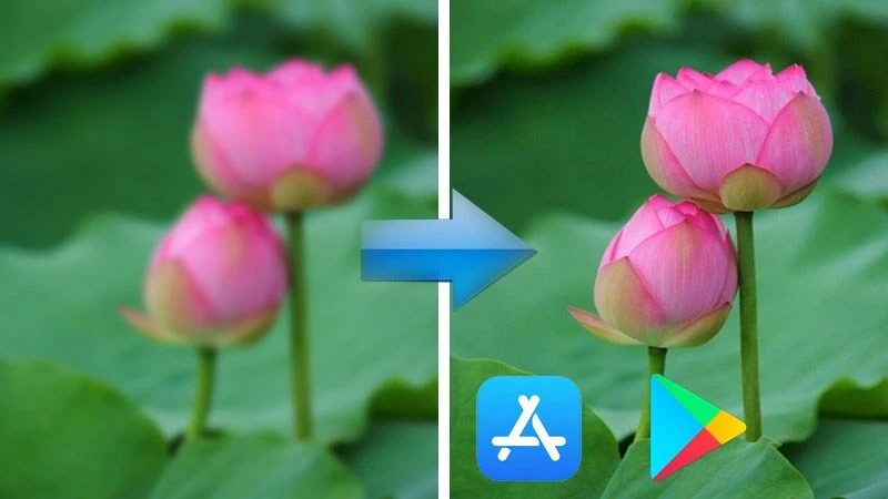 Khám Phá App Làm Nét Ảnh Tốt Nhất Hiện Nay