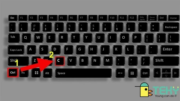 Cách copy 1 trang Word đơn giản và hiệu quả