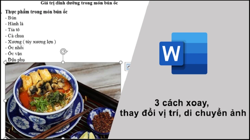 Hướng dẫn cách di chuyển ảnh trong Word hiệu quả