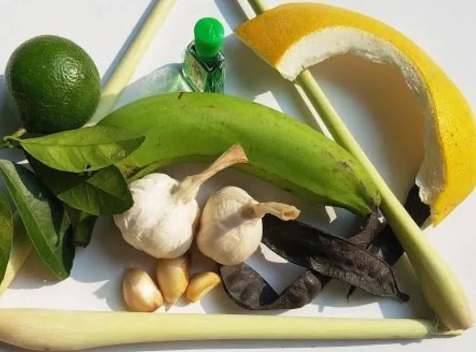 Top 5 điều cần làm khi đi viếng đám tang về