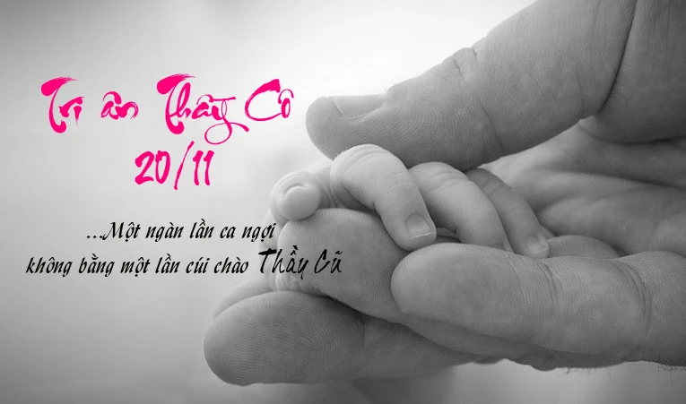 Ý nghĩa ngày Nhà giáo Việt Nam và vai trò của thầy cô