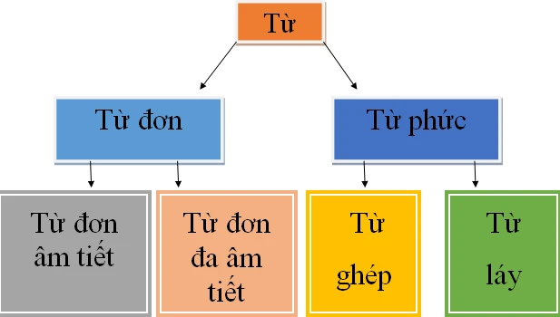 Tìm hiểu về từ ghép trong ngôn ngữ Việt Nam