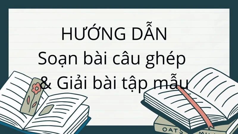 Câu ghép là gì? Ví dụ & Hướng dẫn đặt câu viết đoạn văn kèm bài tập