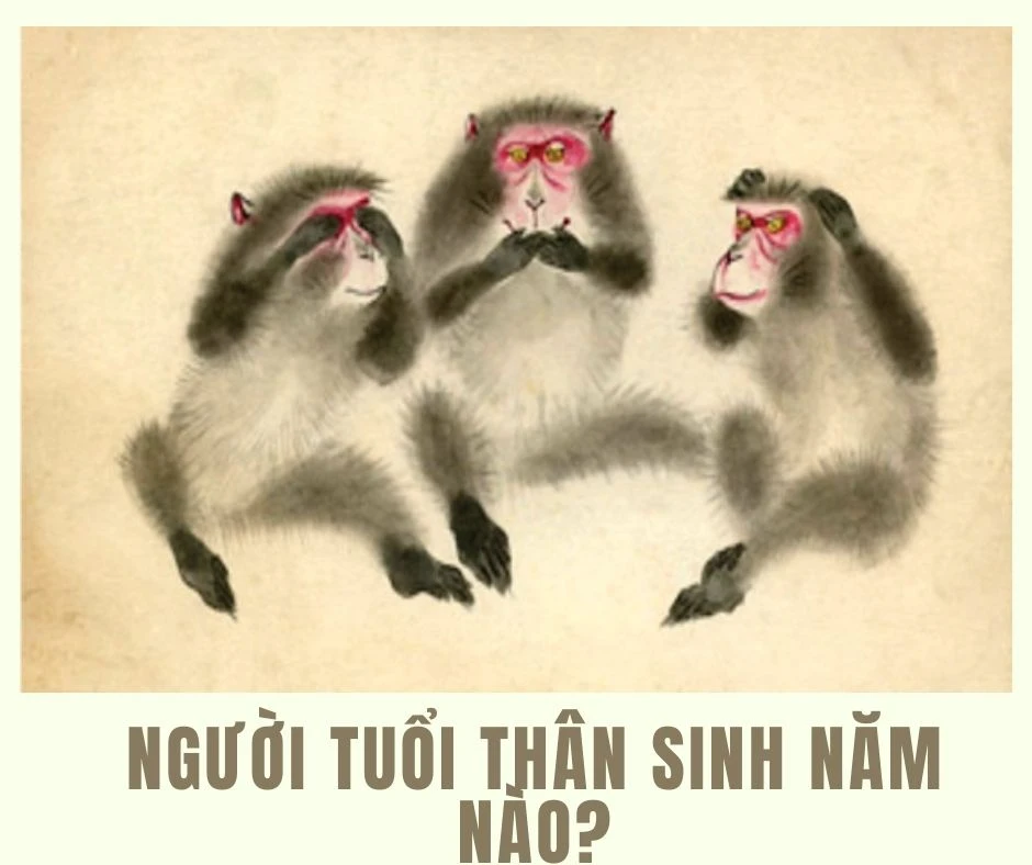 Tuổi Thân 2004 hợp màu gì để thu hút tài lộc?