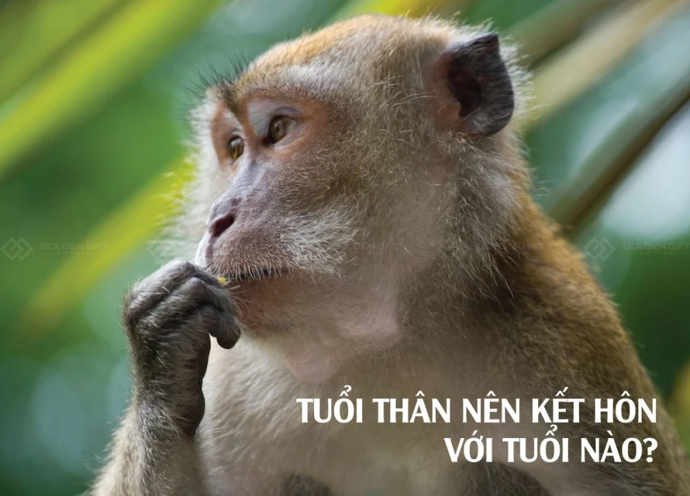 Tuổi Thân nên kết hợp người tuổi nào trong làm ăn, hôn nhân?