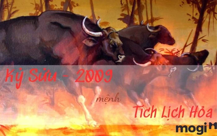 Tuổi Sửu 2009 mệnh gì và những điều cần biết