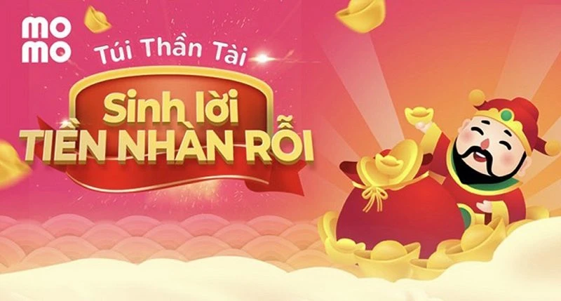 Túi thần tài momo là gì và những lợi ích đầu tư