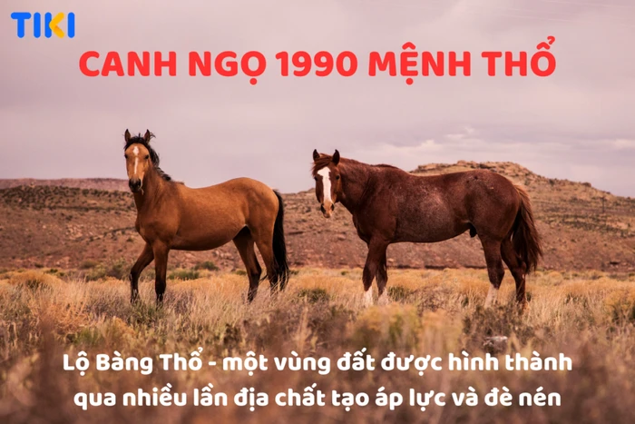Tuổi 1990 mệnh gì và ảnh hưởng đến cuộc sống