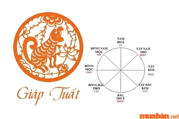 Tử Vi Giáp Tuất 1994 Năm 2024 Nam Mạng: Gặp Phạm Thái Tuế