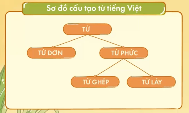 Khám Phá Từ Đơn Trong Tiếng Việt