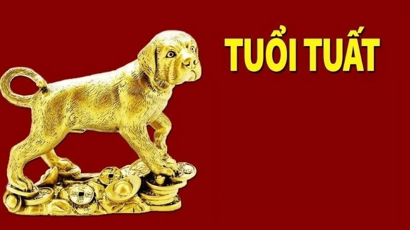 Tử vi tuổi Tuất: Khám phá ý nghĩa năm sinh từng người