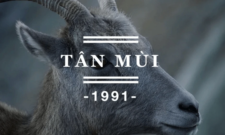 Tử vi tuổi Tân Mùi năm 2024 nam mạng: Cơ hội và thách thức