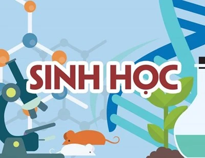 Toán Văn Sinh là khối gì Khối B03 và các môn học chính