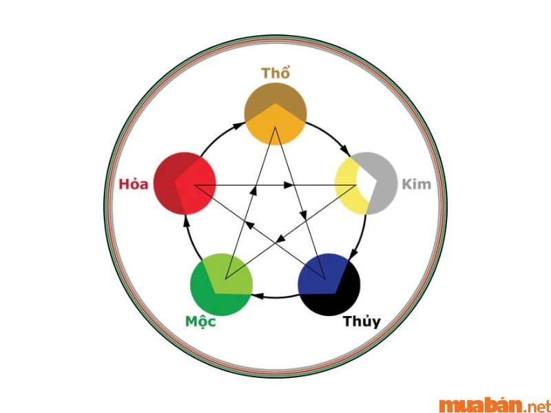 Tử vi tuổi Kỷ Mùi 1979 năm 2024 nữ mạng chi tiết