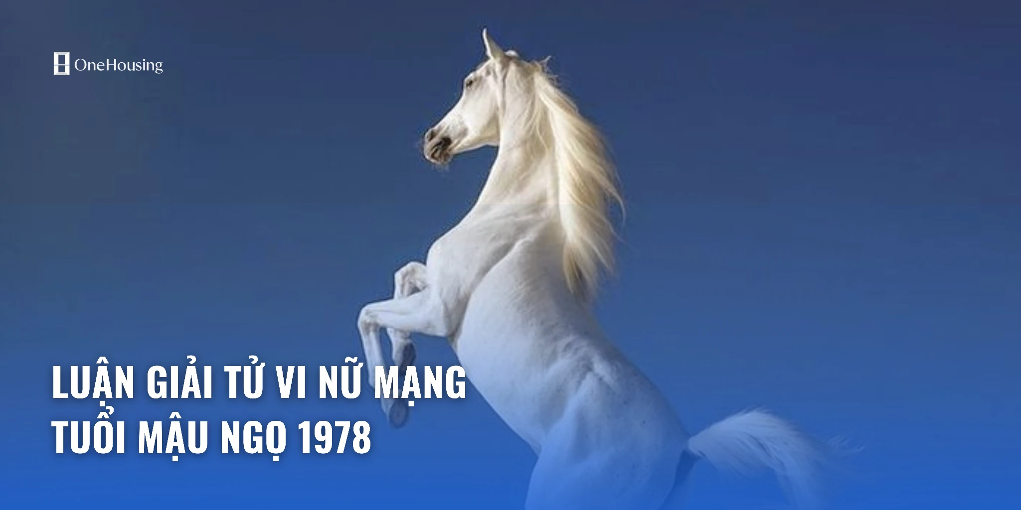 Tử vi tuổi Mậu Ngọ năm 2024 nữ mạng: Dự đoán và cơ hội