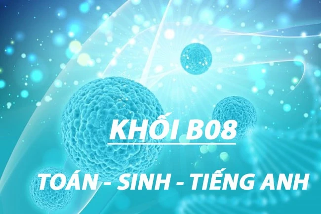 Toán Sinh Anh là khối gì và cơ hội nghề nghiệp ra sao