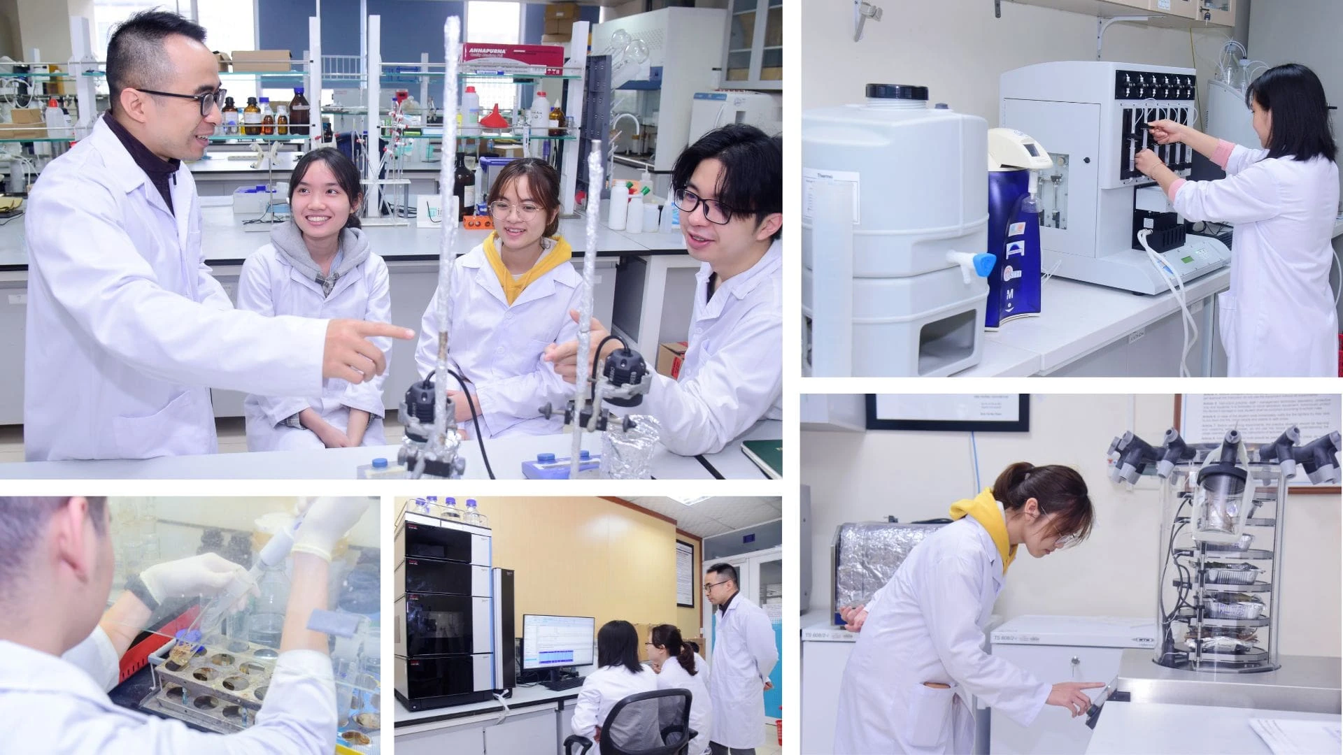 Tổ hợp B00 Toán Hoá Sinh có thể lựa chọn ngành gì?